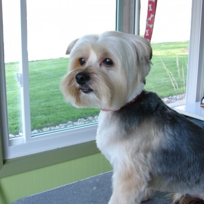 cooper